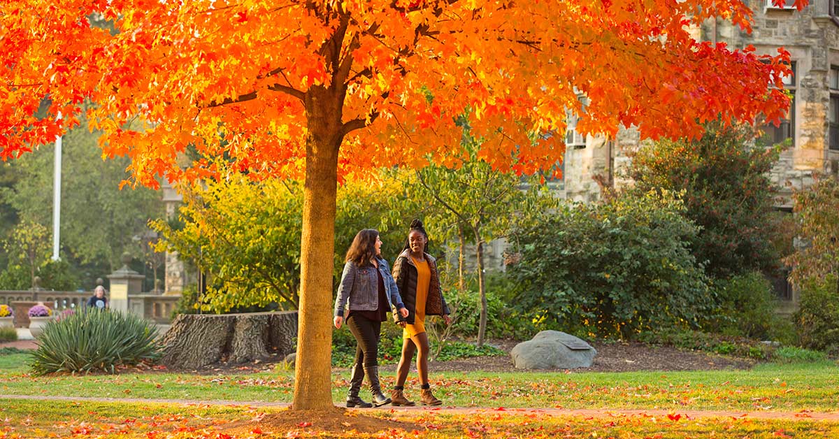 what-makes-an-independent-school-education-different